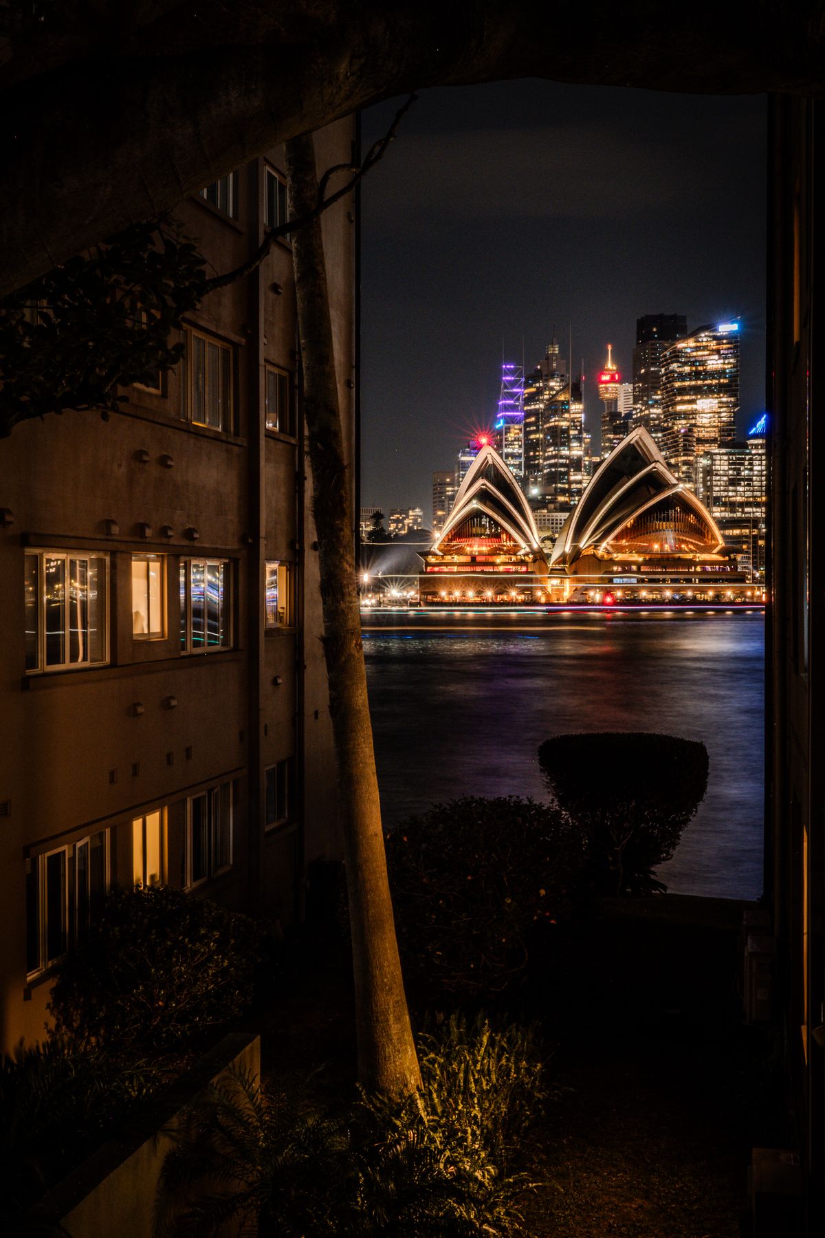 Sydney Opera House at night framed between a building and a tree